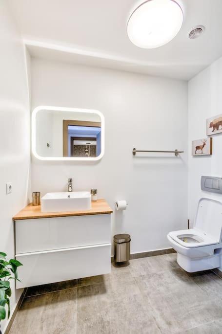Splendor 3 Bedroom Flat In Silver Mountain Пояна Брашов Екстериор снимка
